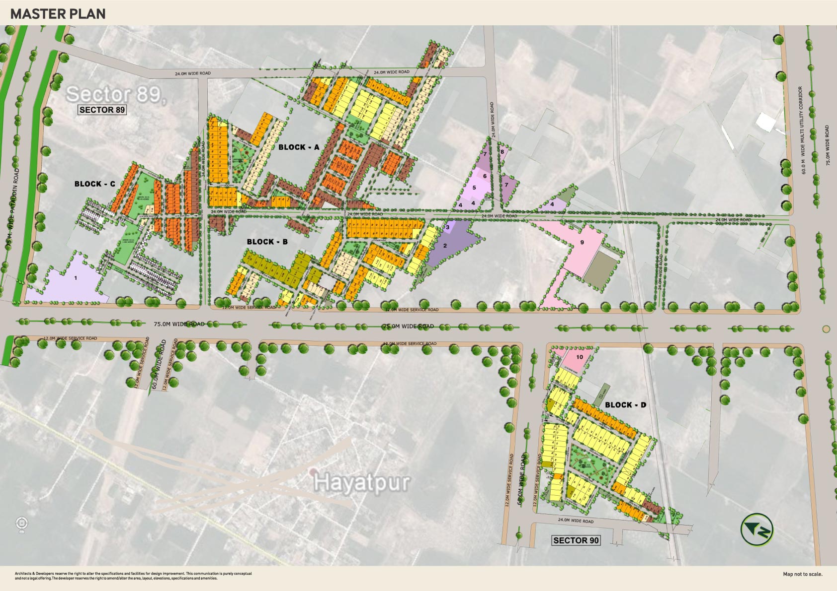 Ace Palm Floors Master Plan